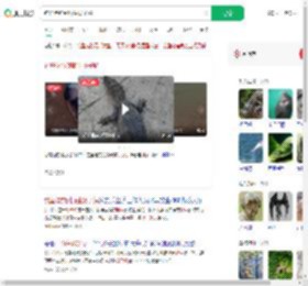 钓鱼佬钓到野生扬子鳄_360搜索