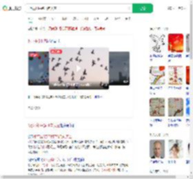 8万羽和平鸽飞向天空_360搜索