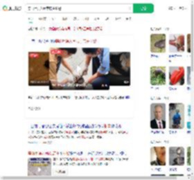 穿山甲误入闹市店主报警_360搜索
