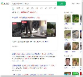 大象闯入居民家吃光一袋大米_360搜索