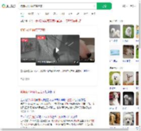 狗狗雨天叼雨布盖芝麻_360搜索