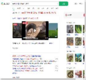 踩到打架的竹叶青和五步蛇_360搜索