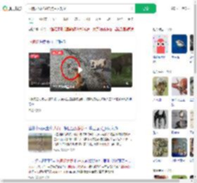 两狗大战眼镜蛇 狗主人观战_360搜索