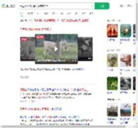 秦皇岛动物园遇猛虎惊魂实录_360搜索
