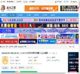 Nicat17官方下载 Nicat for SQL Server 17 v17.3.5 中文免费企业版(附安装教程) 下载-脚本之家