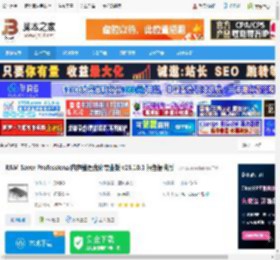 RAM Ser Professional下载 RAM Ser Professional内存整理优化专业版 v25.10.1 绿色便携版 下载-脚本之家