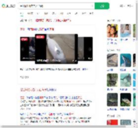 湛江海滩现难产死亡海豚_360搜索